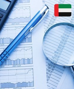 Dubai Accounting Business Email Database